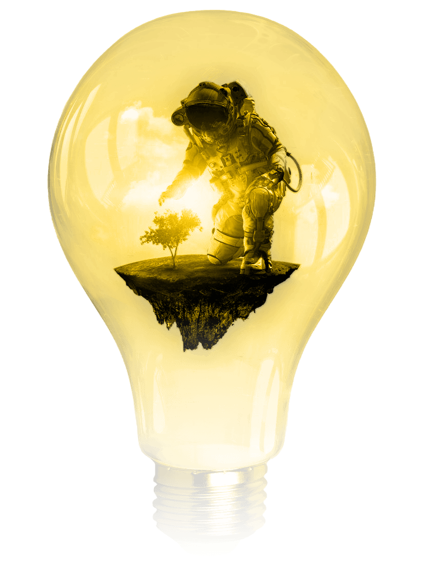 Explore our services