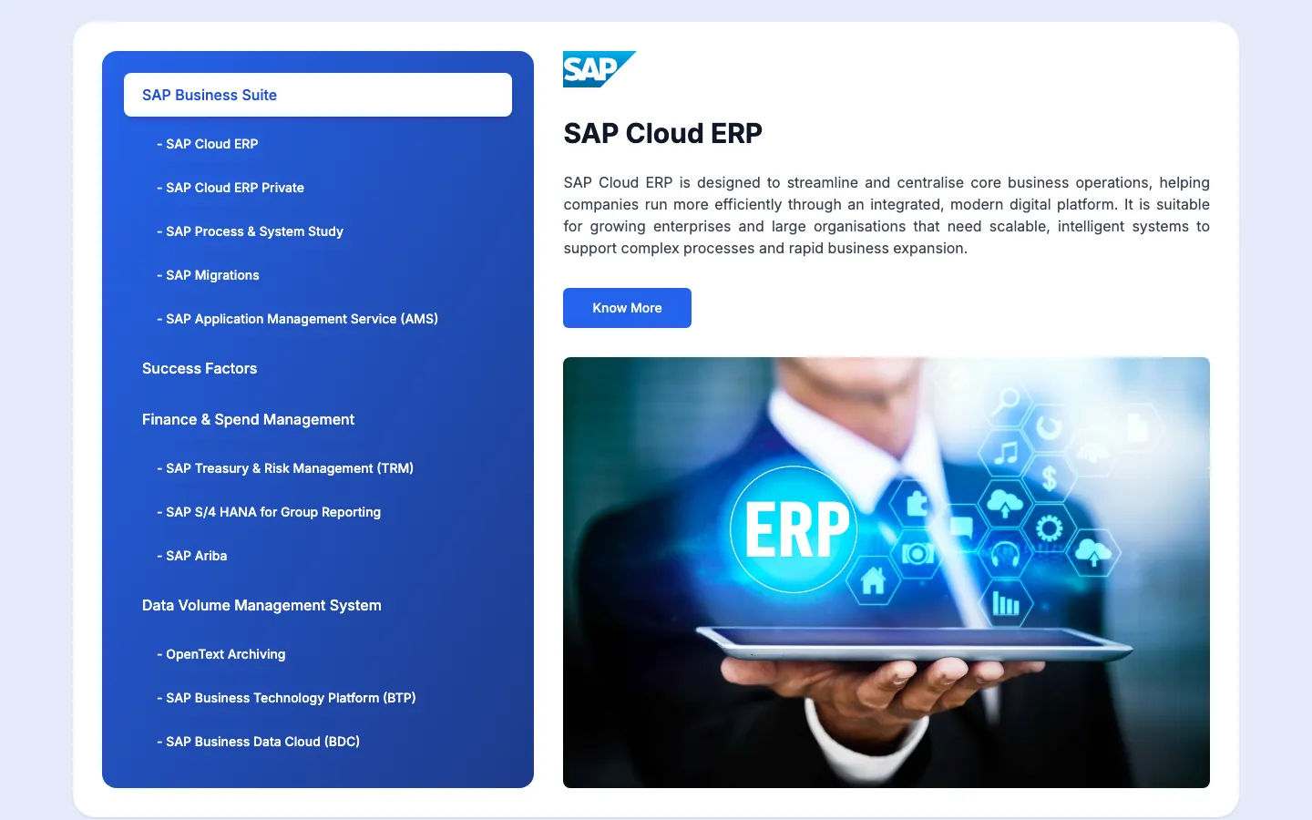 SGN Software solutions explorer with grouped SAP services on the left and SAP Cloud ERP details on the right