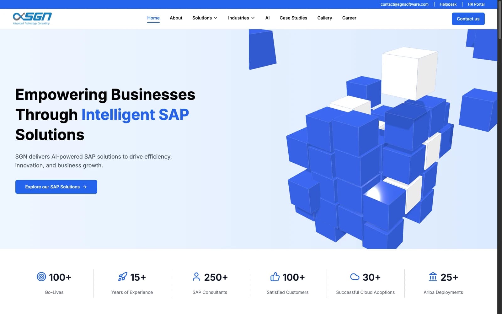 SGN Software SAP consulting company website development — homepage screenshot