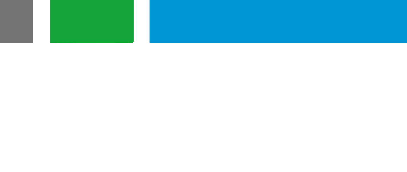 RSM consulting 